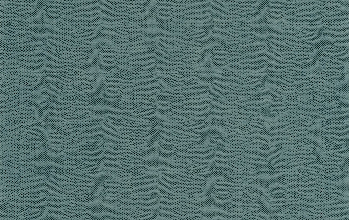 Французские обои Casadeco, коллекция Leathers, артикул LEAT87166411