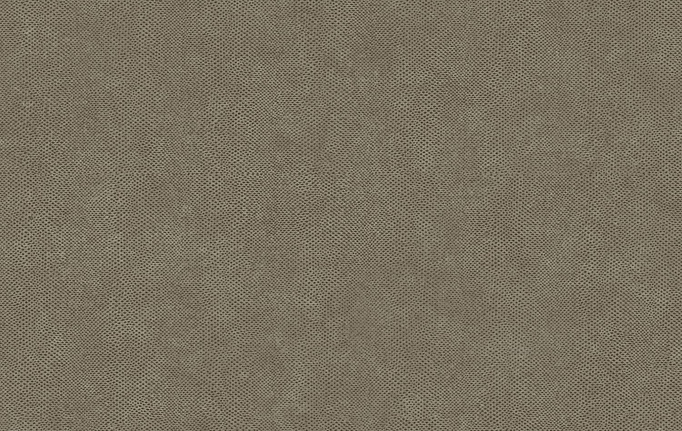Французские обои Casadeco, коллекция Leathers, артикул LEAT87169409