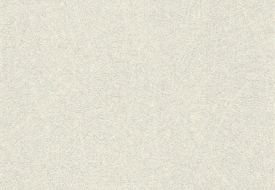 Обои Rasch Concrete 520231