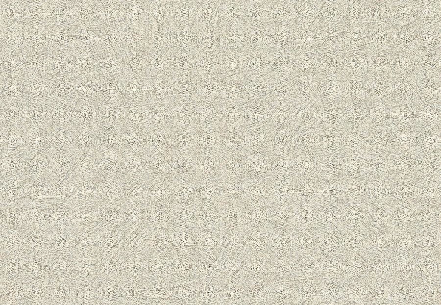 Обои Rasch Concrete 520248