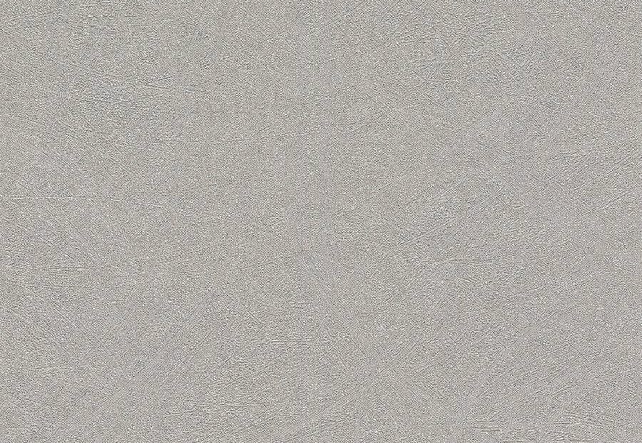 Обои Rasch Concrete 520255