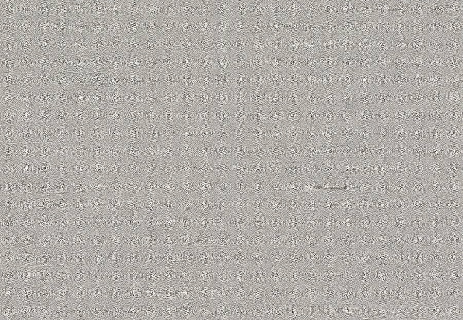 Обои Rasch Concrete 520255