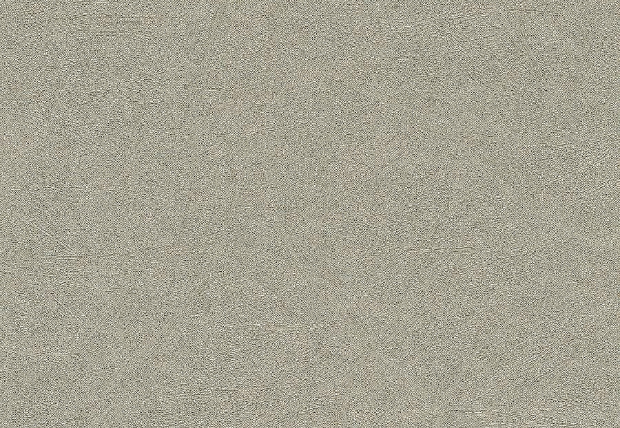 Обои Rasch Concrete 520279