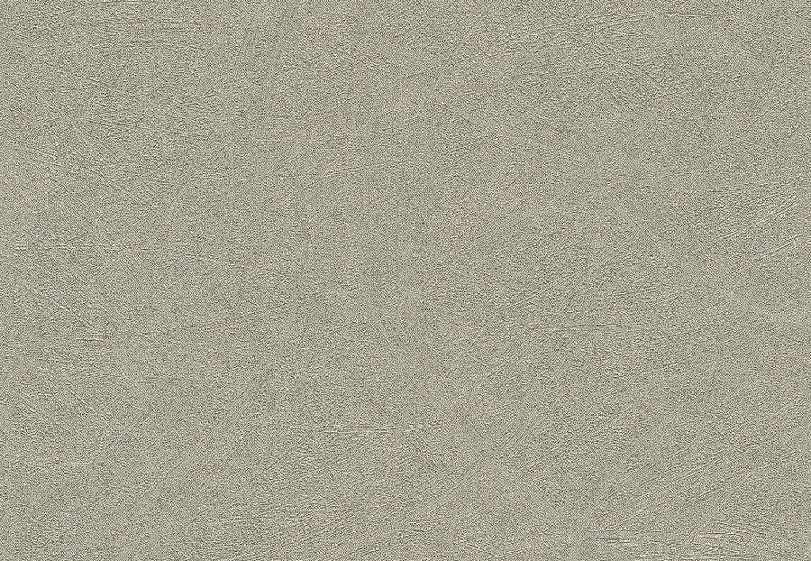 Обои Rasch Concrete 520279