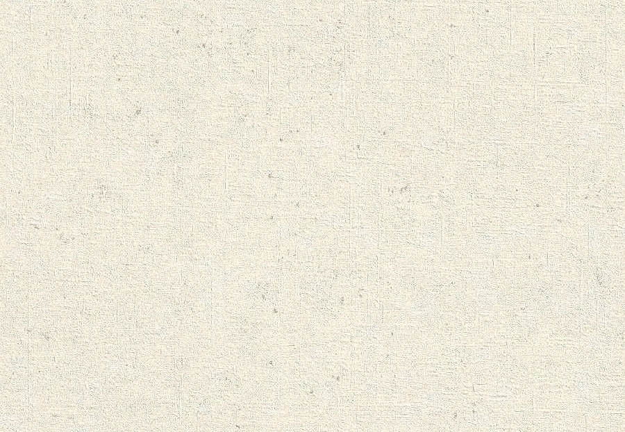 Обои Rasch Concrete 520828