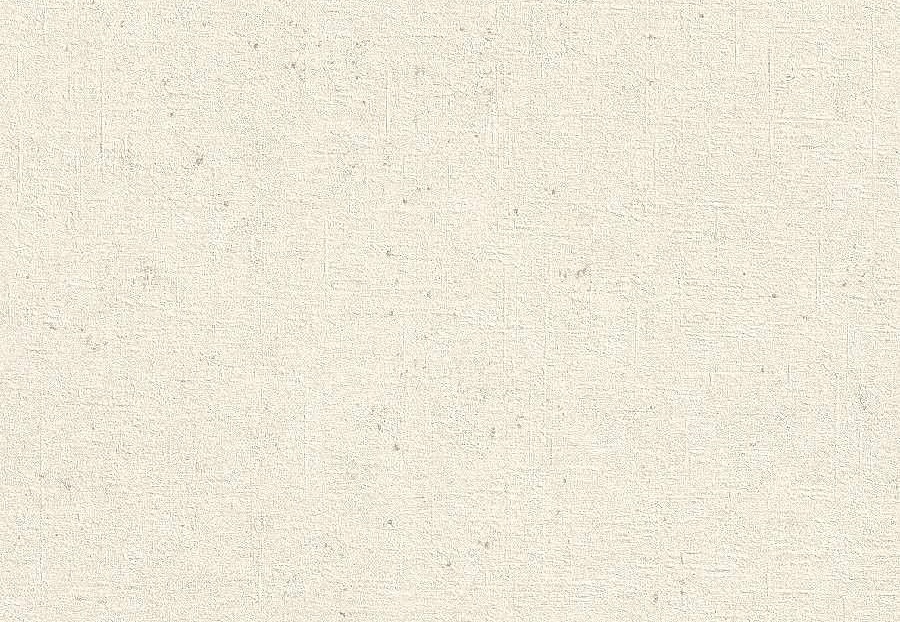 Обои Rasch Concrete 520828