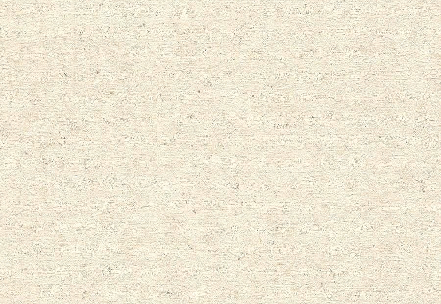 Обои Rasch Concrete 520835