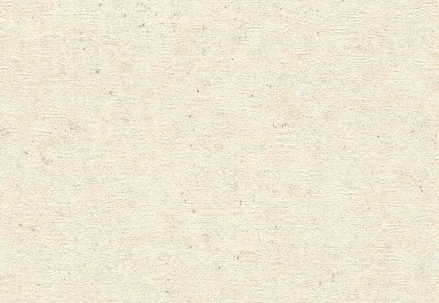 Обои Rasch Concrete 520835