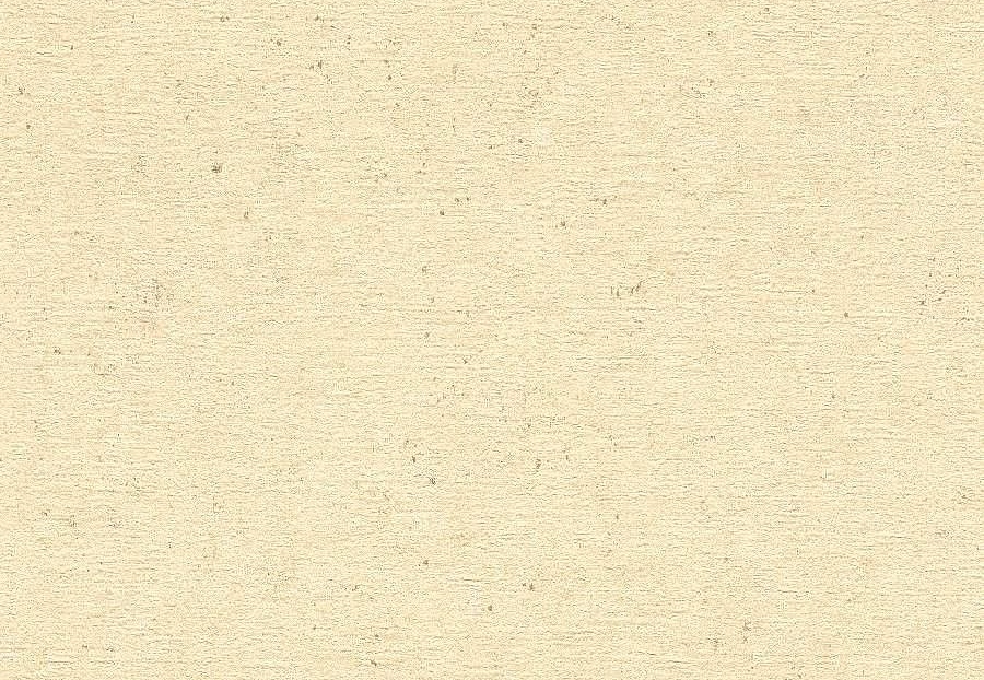 Обои Rasch Concrete 520842