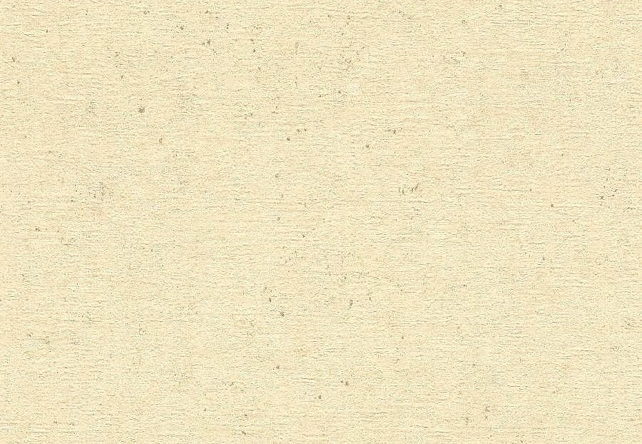 Обои Rasch Concrete 520842