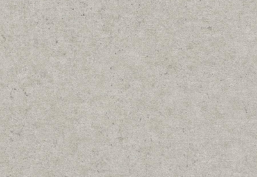Обои Rasch Concrete 520859