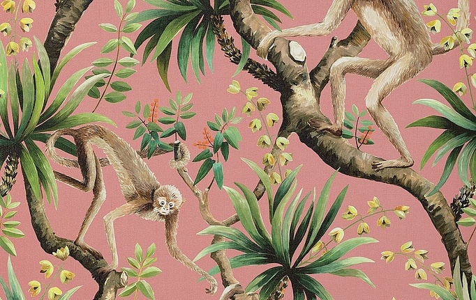 Австралийские обои Mokum, коллекция The Royal Menagerie, артикул 13095/121/Monkey Business W/P/Coral