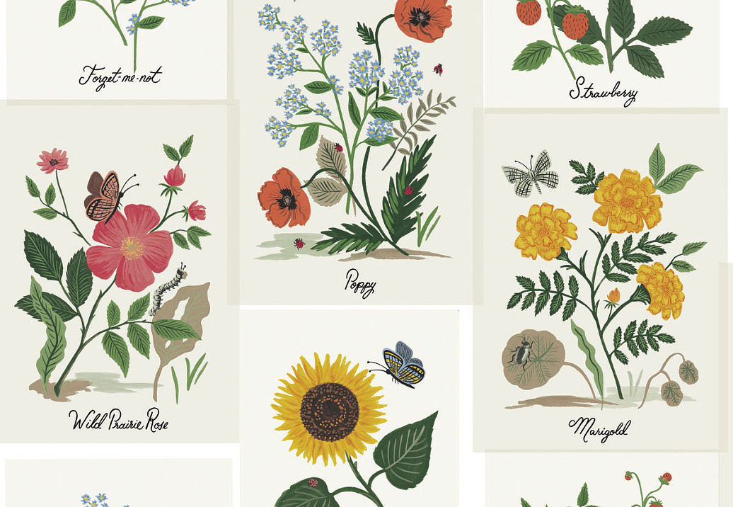 Обои York Rifle Paper Co. Second Edition RP7334
