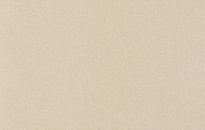 Французские обои Caselio, коллекция Chevron, артикул CVR102221256
