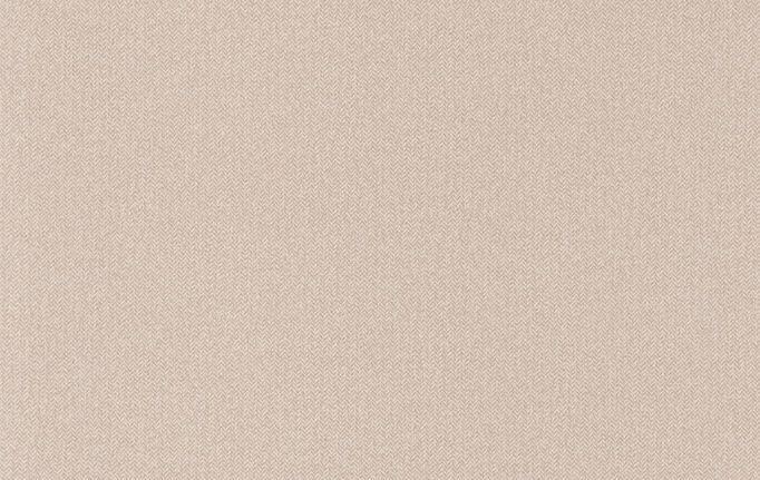 Французские обои Caselio, коллекция Chevron, артикул CVR102221563
