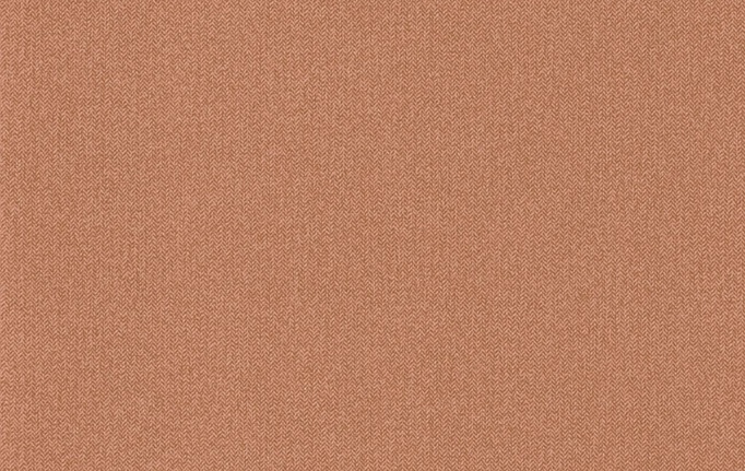 Французские обои Caselio, коллекция Chevron, артикул CVR102223189