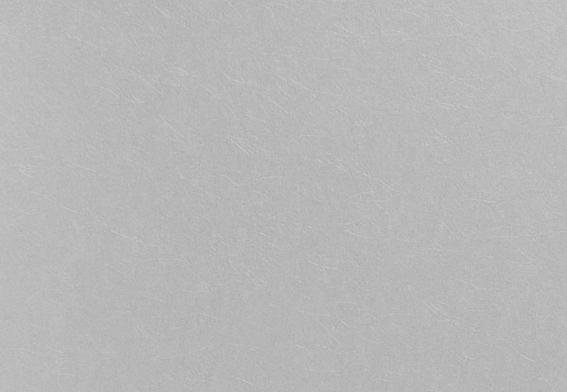 Обои Eijffinger Bloom 340088