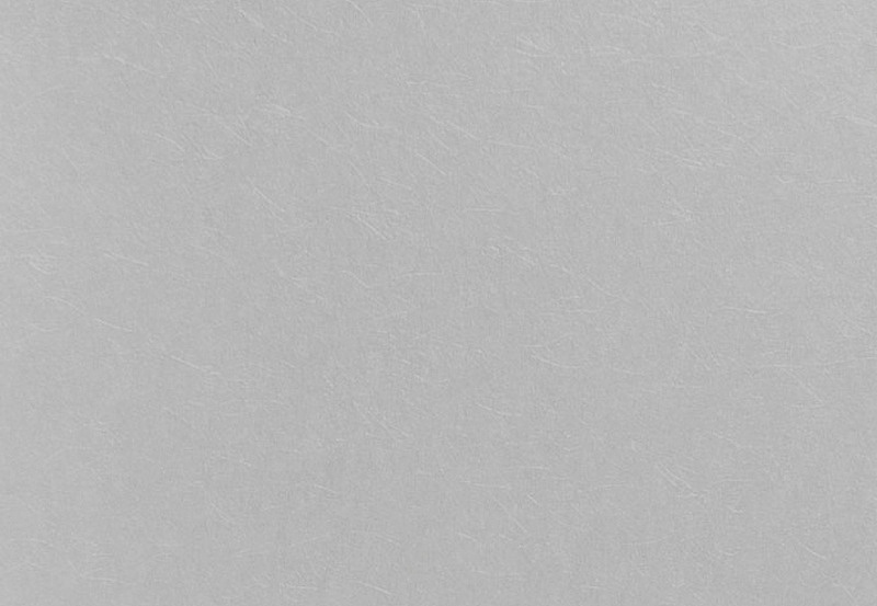 Обои Eijffinger Bloom 340088