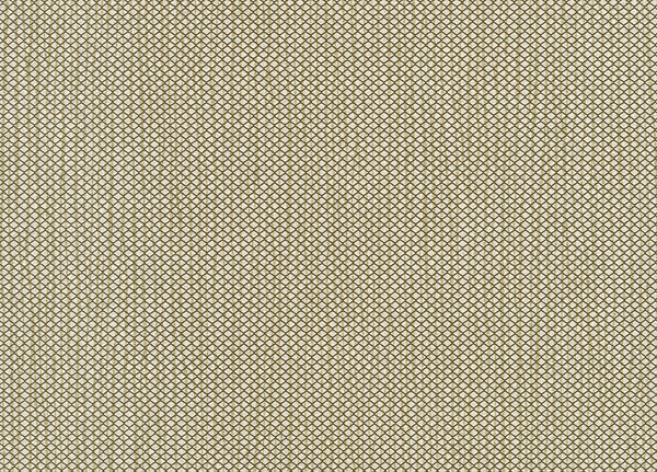 Обои Hookedonwalls Delicate Chic 73203