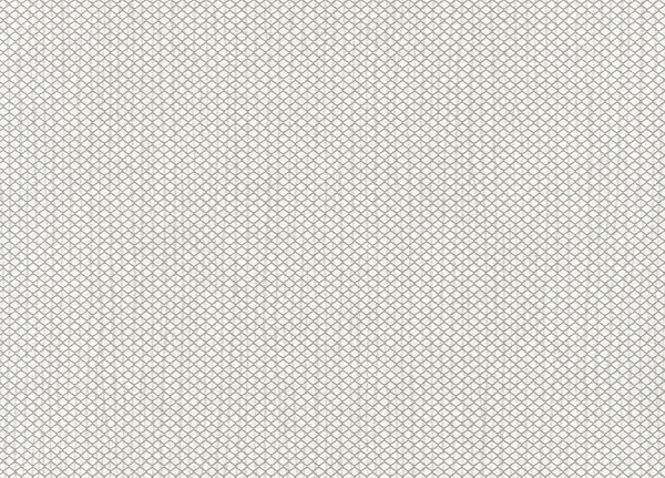 Обои Hookedonwalls Delicate Chic 73204