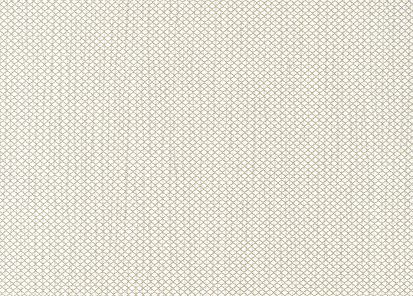 Обои Hookedonwalls Delicate Chic 73209