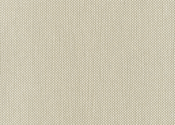 Обои Hookedonwalls Delicate Chic 73210