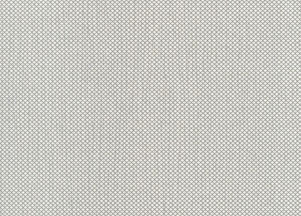 Обои Hookedonwalls Delicate Chic 73213