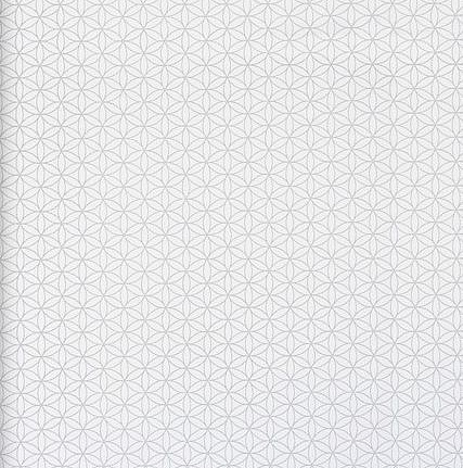 Обои BN International Nordic Light 47461