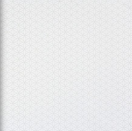Обои BN International Nordic Light 47462