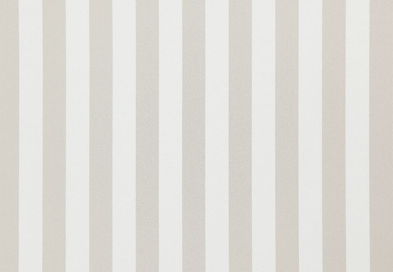 Ткань Daylight Amilly Vira/Limestone