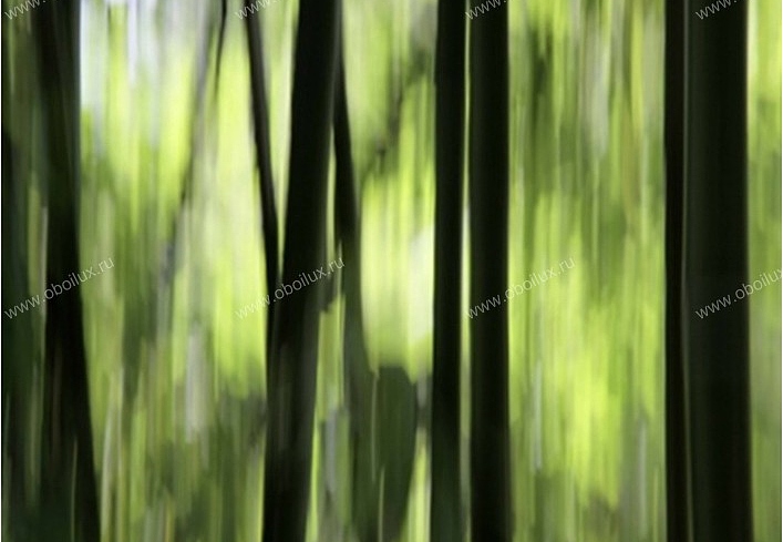 Панно и фотообои A. S. Creation XXL 0362-8