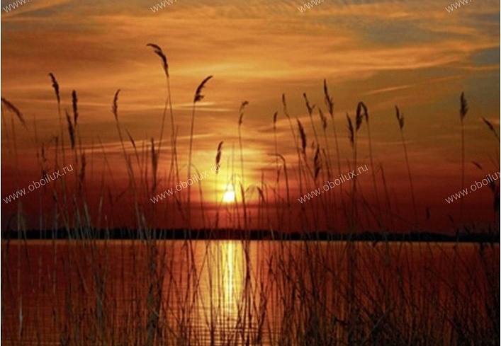 Панно и фотообои A. S. Creation XXL 0365-7