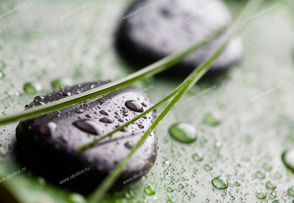 Панно и фотообои A. S. Creation XXL II 368 Black Stones On Green