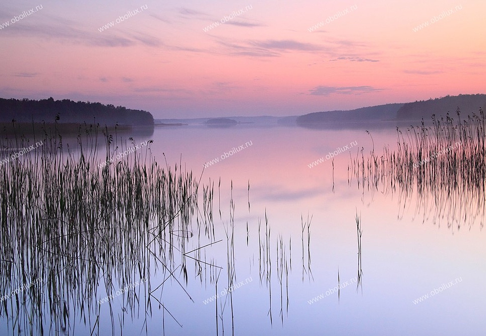 Панно и фотообои A. S. Creation XXL II 313 Lake Calm