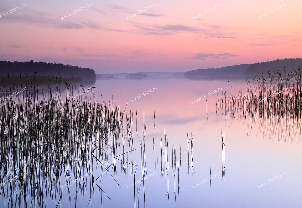Панно и фотообои A. S. Creation XXL II 313 Lake Calm