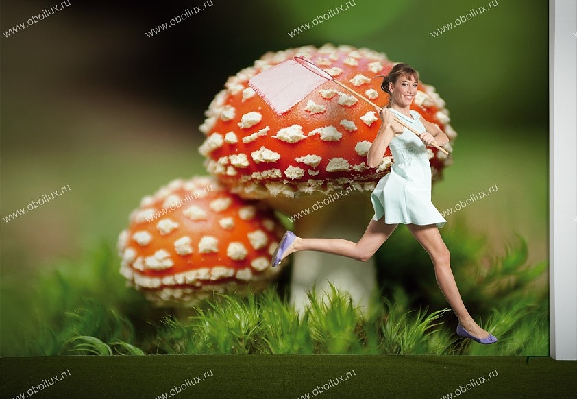 Панно и фотообои A. S. Creation XXL II 321 Fly Agaric