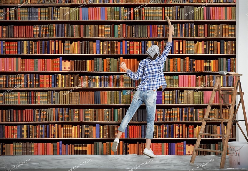 Панно и фотообои A. S. Creation XXL II 341 Bookcase