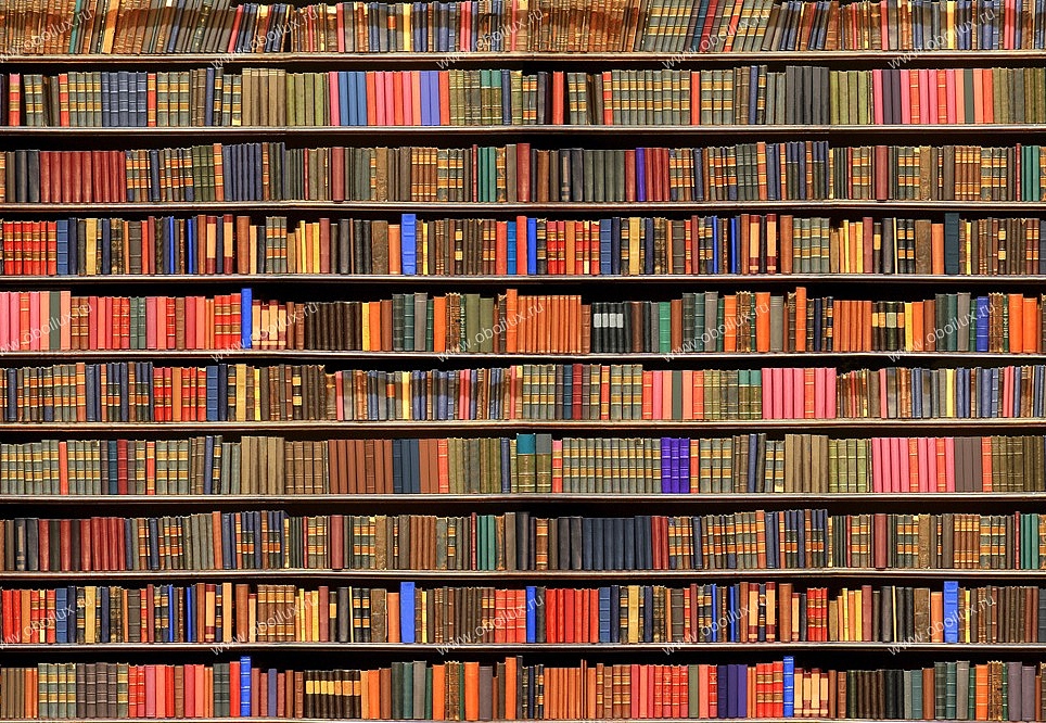 Панно и фотообои A. S. Creation XXL II 341 Bookcase