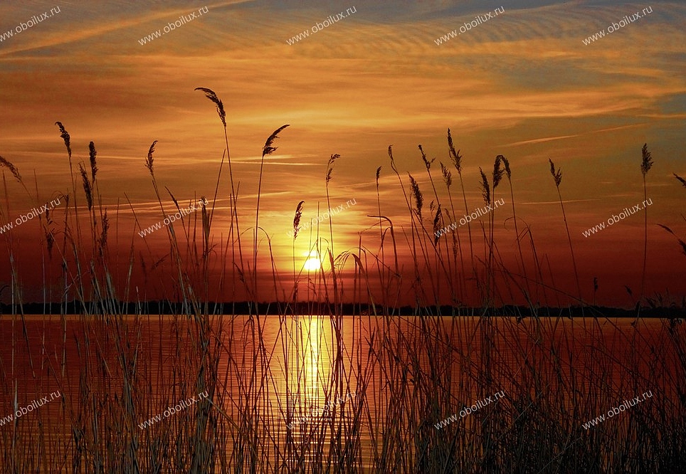 Панно и фотообои A. S. Creation XXL II 295 Sunset At The Lake 