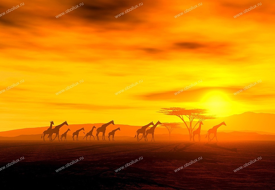 Панно и фотообои A. S. Creation XXL II 297 Giraffe In Savannah