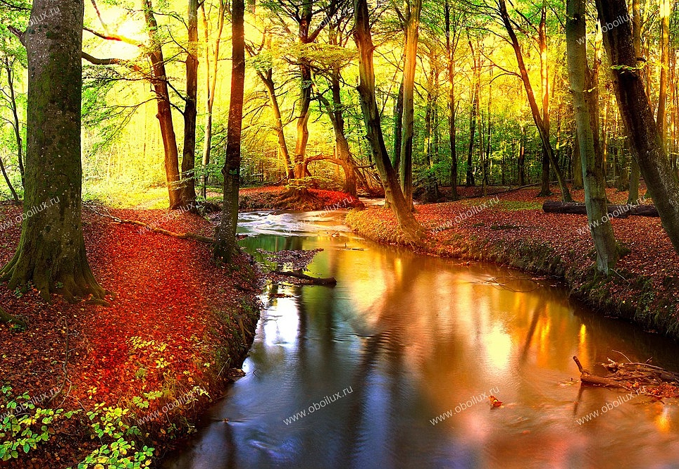 Панно и фотообои A. S. Creation XXL II 303 Forest Stream