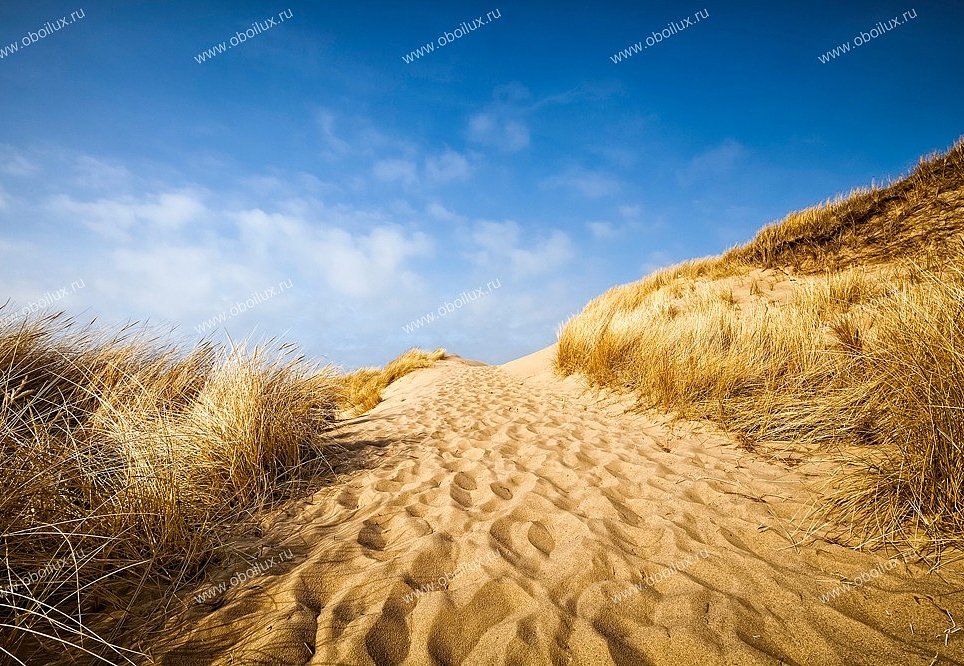 Панно и фотообои A. S. Creation XXL II 304 Sylt Beach 