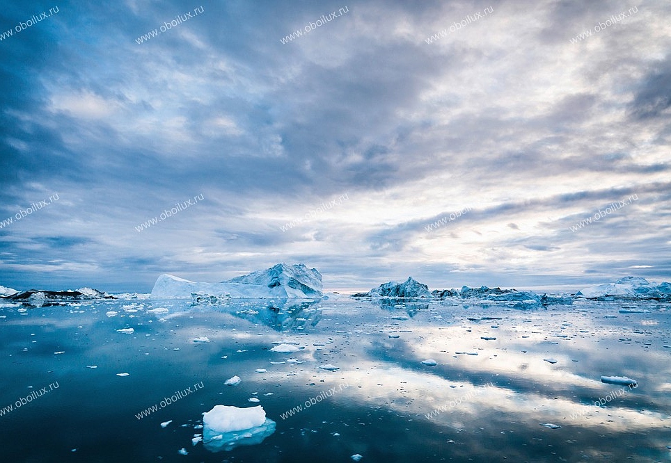 Панно и фотообои A. S. Creation XXL II 310 Iceberg