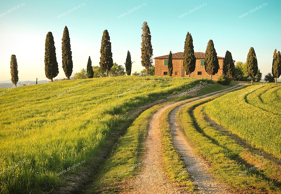 Панно и фотообои A. S. Creation XXL II 311 Toscana Summer 