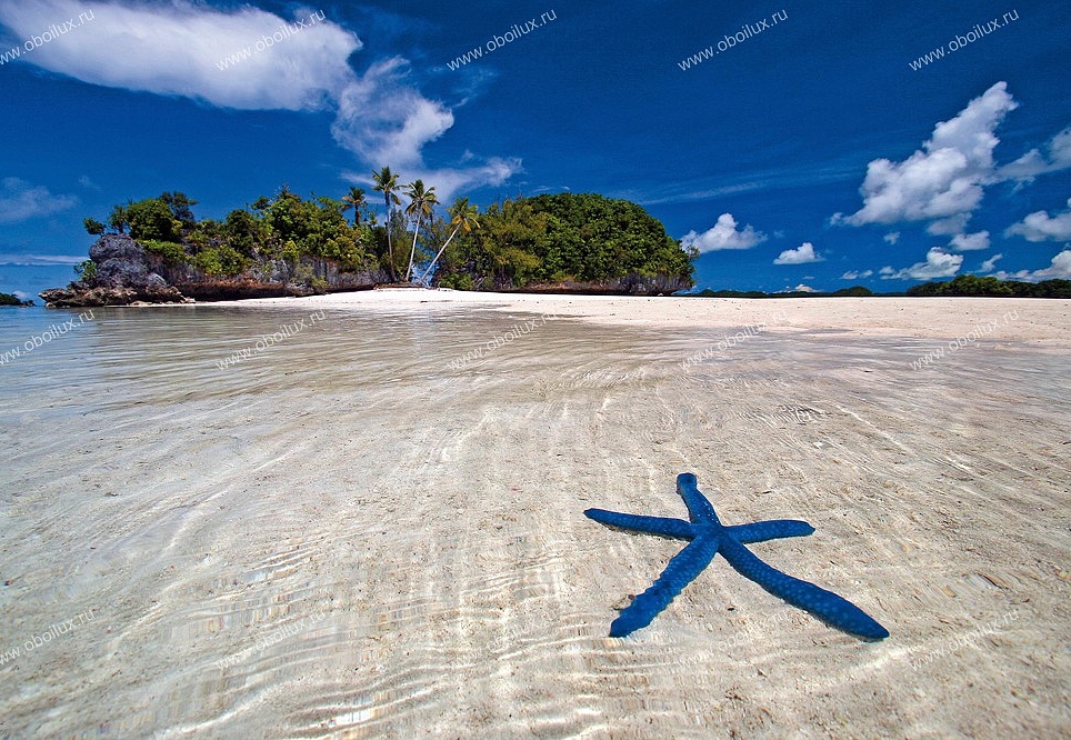 Панно и фотообои A. S. Creation XXL II 328 Blue Starfish