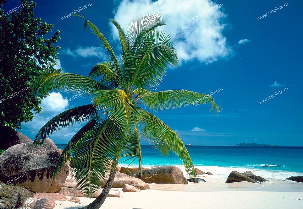 Панно и фотообои A. S. Creation XXL II 333 Beach
