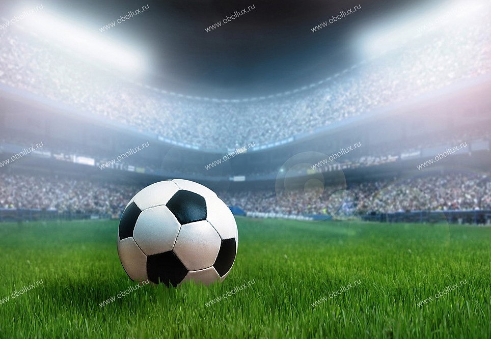 Панно и фотообои A. S. Creation XXL II 342 Soccer 
