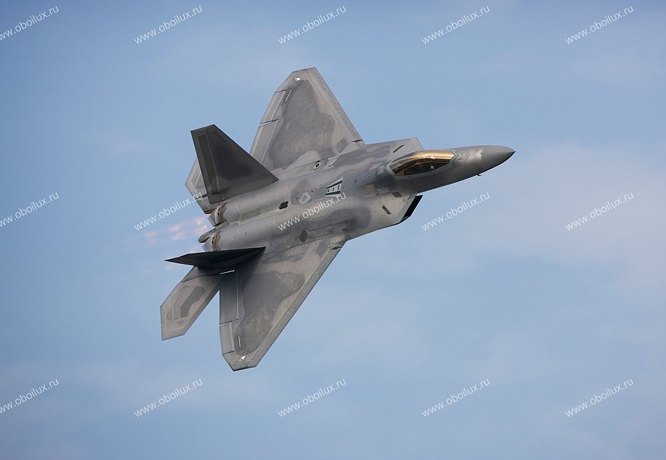 Панно и фотообои A. S. Creation XXL II 344 F22 Raptor