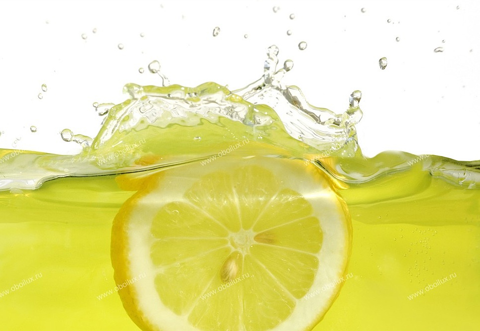 Панно и фотообои A. S. Creation XXL II 355 Lemon Slice in Water