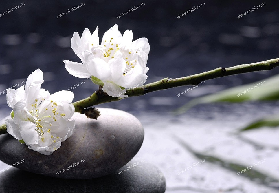 Панно и фотообои A. S. Creation XXL II White Flowers On Stone 369